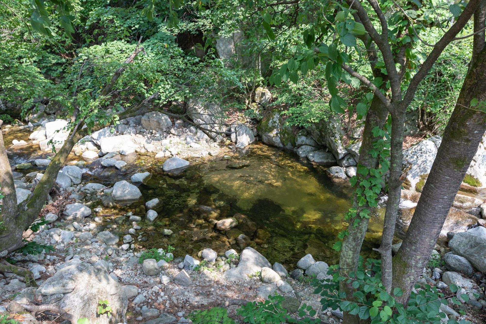 Gangneung Yasaenghwa Maeul Hotel Bagian luar foto