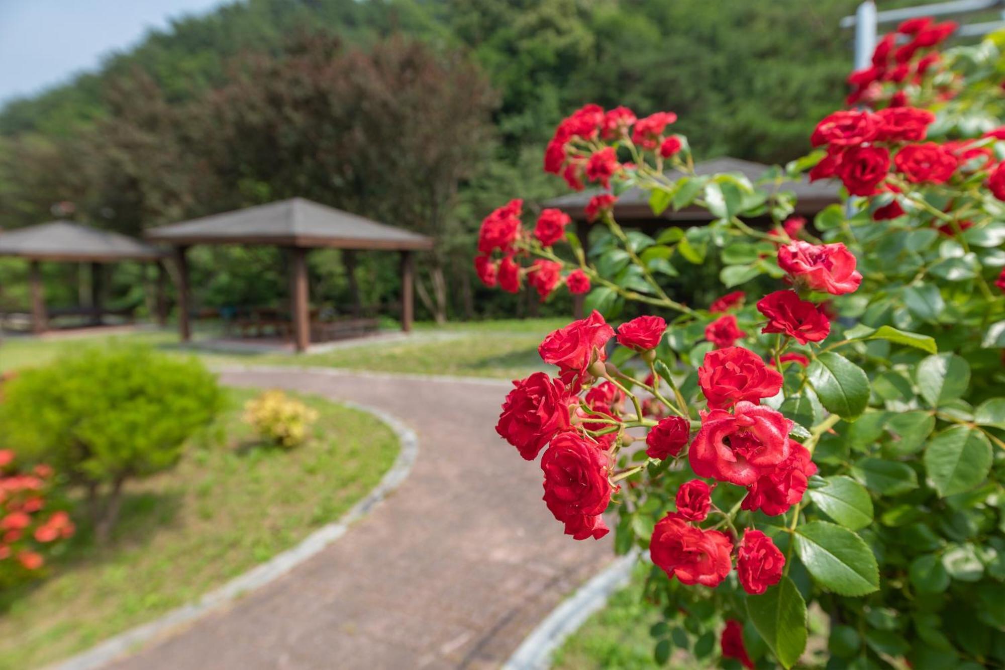 Gangneung Yasaenghwa Maeul Hotel Bagian luar foto